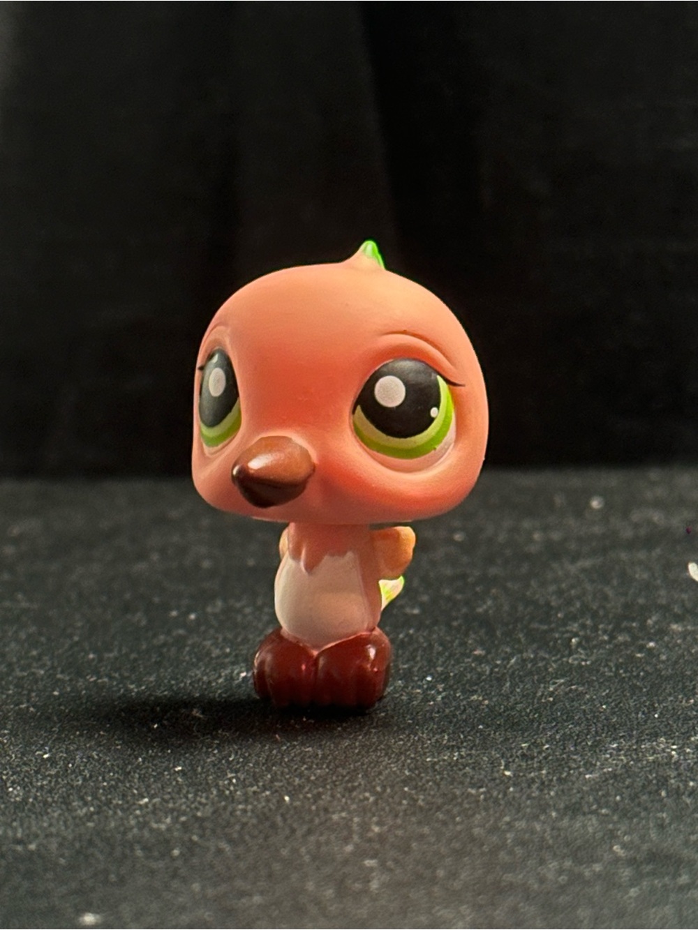 LPS Hummingbird #343